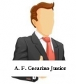 A. F. Cesarino Junior
